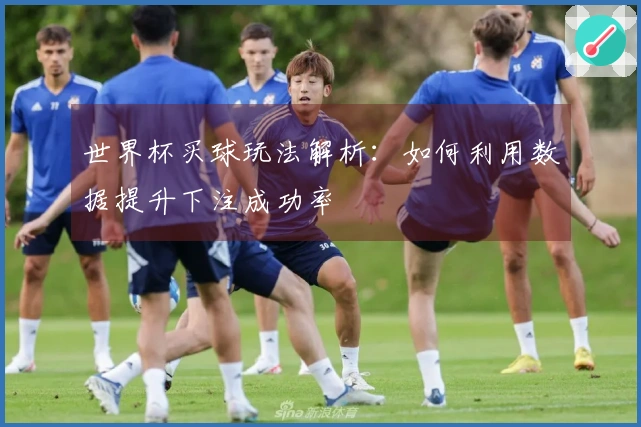 世界杯买球玩法解析：如何利用数据提升下注成功率