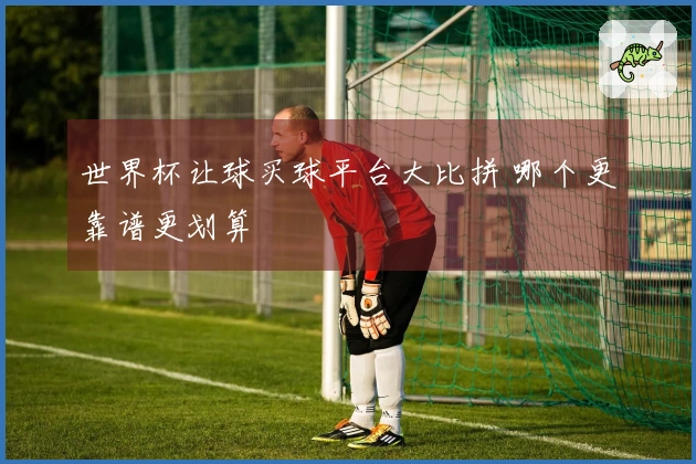世界杯让球买球平台大比拼 哪个更靠谱更划算