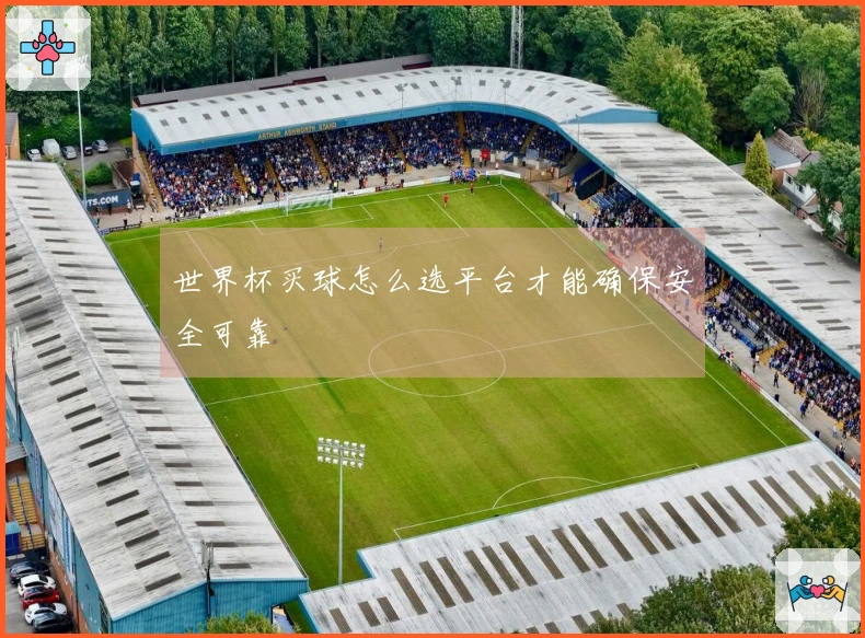世界杯买球怎么选平台才能确保安全可靠