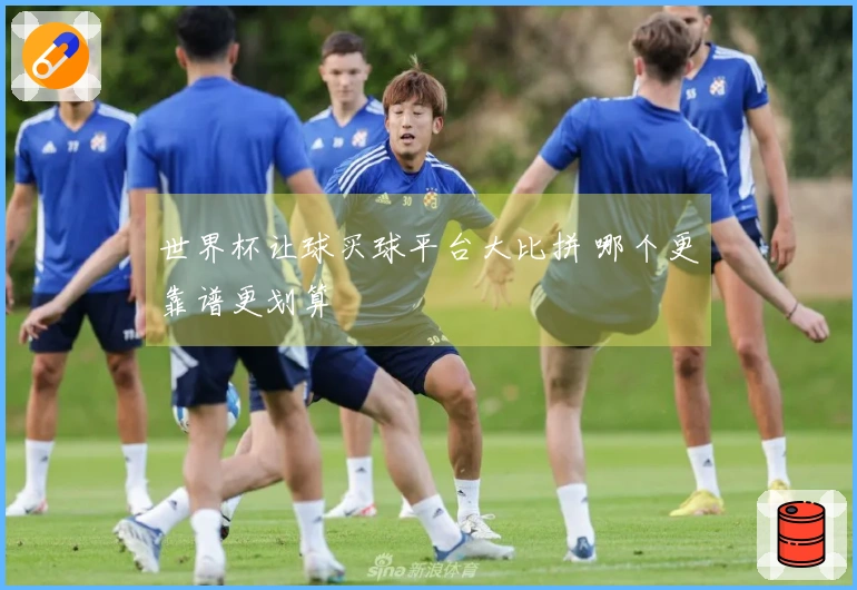 世界杯让球买球平台大比拼 哪个更靠谱更划算