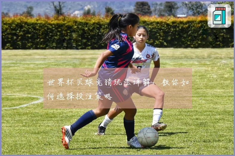 世界杯买球竞猜玩法详解，教你如何选择投注策略