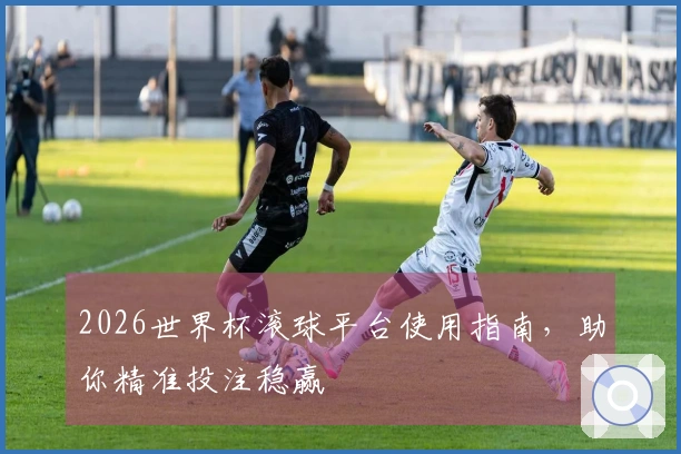 2026世界杯滚球平台使用指南，助你精准投注稳赢