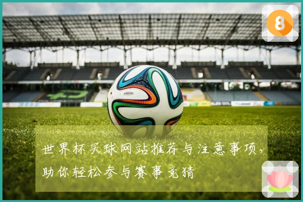 世界杯买球网站推荐与注意事项，助你轻松参与赛事竞猜
