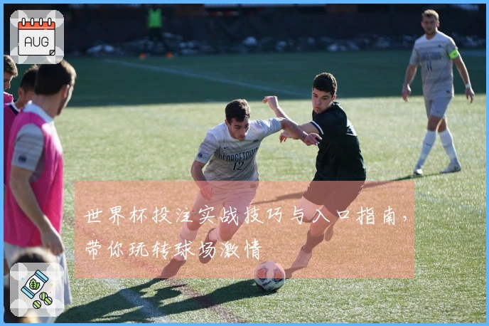 世界杯投注实战技巧与入口指南，带你玩转球场激情