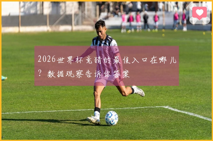 2026世界杯竞猜的最佳入口在哪儿？数据观察告诉你答案