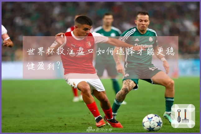 世界杯投注盘口如何选择才能更稳健盈利？