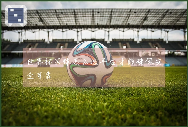 世界杯买球怎么选平台才能确保安全可靠