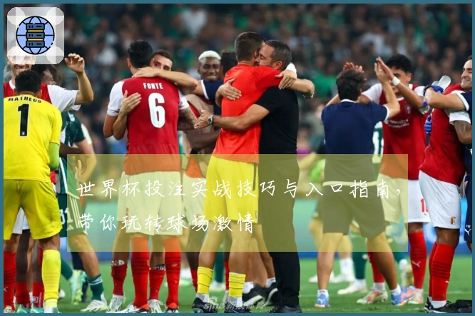 世界杯投注实战技巧与入口指南,带你玩转球场激情