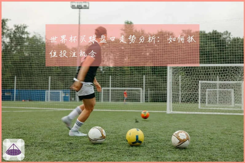世界杯买球盘口走势分析：如何抓住投注机会